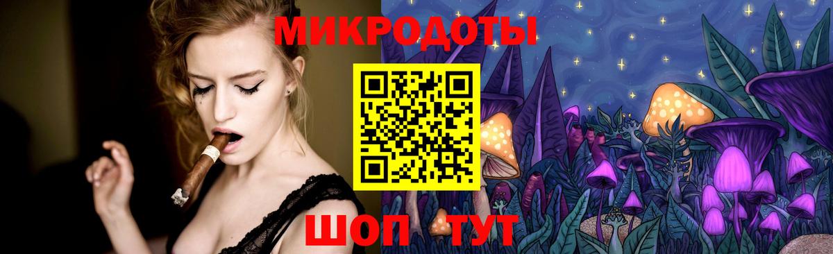 Галлюциногенные грибы прущие грибы  Вход с VPN  Сланцы 